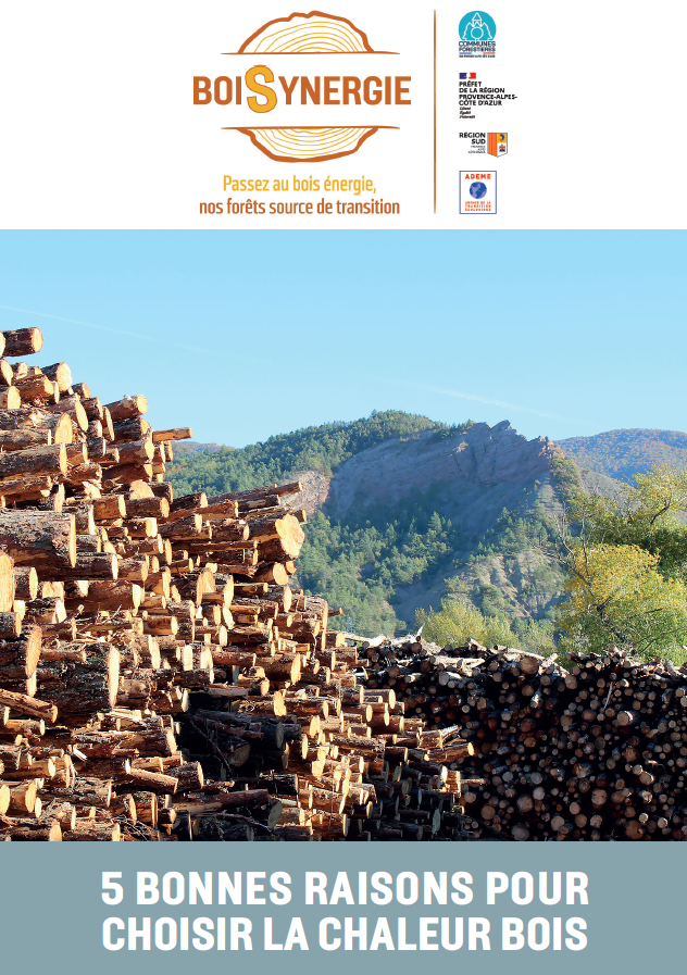 Document "2023_5 bonnes raisons pour choisir la chaleur bois"