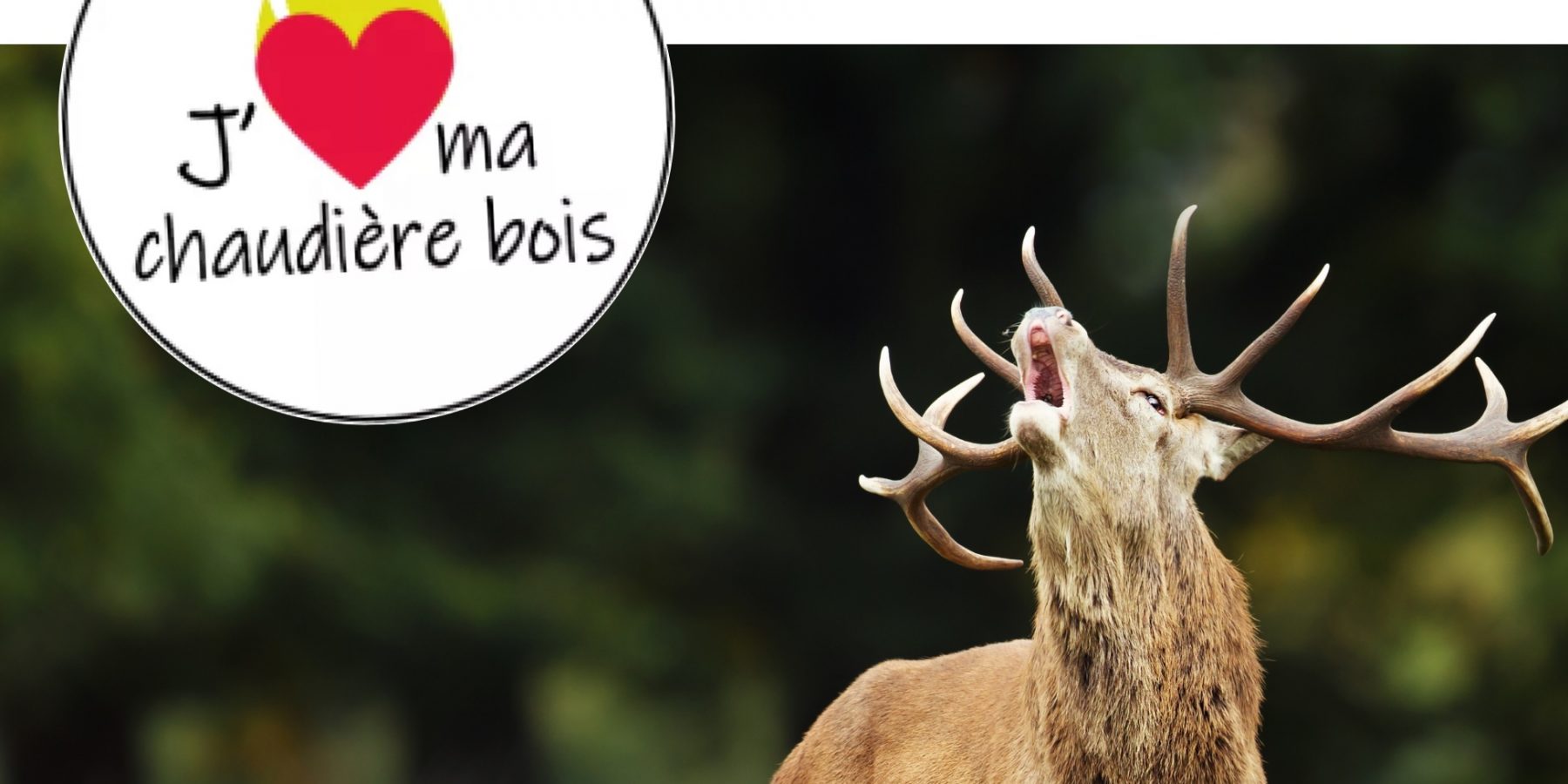 Concours j'aime ma chaudière bois