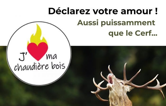 Concours j'aime ma chaudière bois